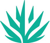 Scottsdale_Logo_Web_2_copy_844027f5-8323-459d-a7f2-9115775ce678